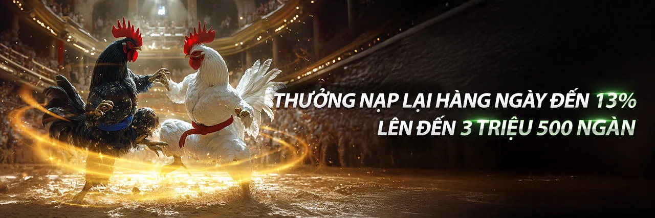 Sân vận động với người hâm mộ đang cổ vũ, biểu tượng cho cá cược thể thao sôi động tại go99 link mới